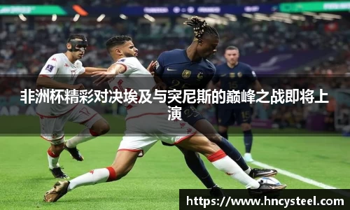 非洲杯精彩对决埃及与突尼斯的巅峰之战即将上演